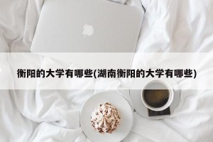 衡阳的大学有哪些(湖南衡阳的大学有哪些)