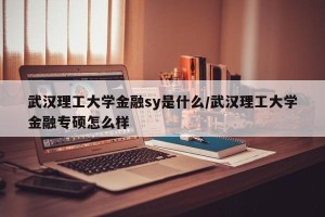 武汉理工大学金融sy是什么/武汉理工大学金融专硕怎么样